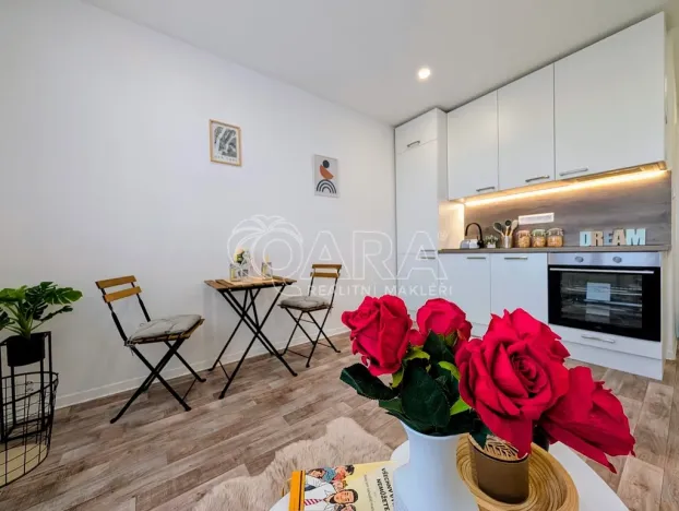 Prodej bytu 1+kk, Plzeň - Doudlevce, Šimerova, 19 m2