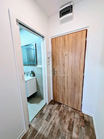 Prodej bytu 1+kk, Plzeň - Doudlevce, Šimerova, 19 m2