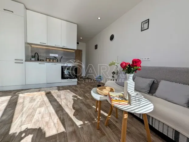 Prodej bytu 1+kk, Plzeň - Doudlevce, Šimerova, 21 m2