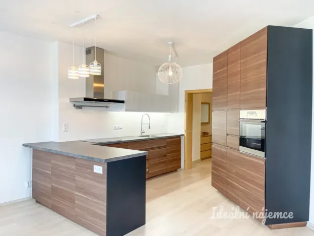 Pronájem bytu 1+kk, Brno - Královo Pole, Božetěchova, 61 m2