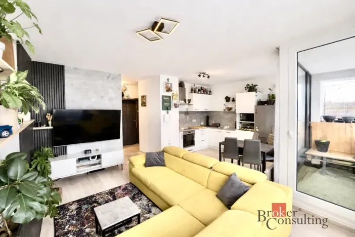 Prodej bytu 2+kk, Plzeň - Severní Předměstí, Na Chmelnicích, 50 m2