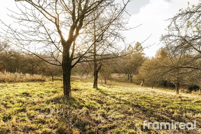 Prodej pozemku pro bydlení, Staré Město - Bílá Studně, 4179 m2