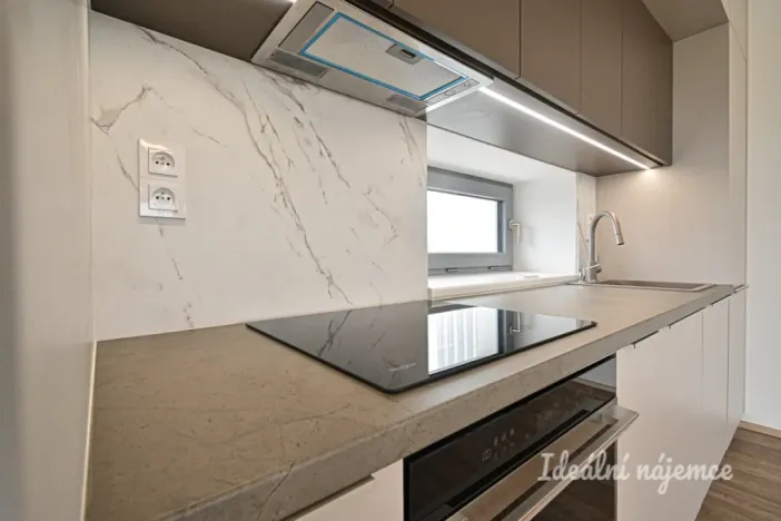 Pronájem bytu 3+kk, Brno - Horní Heršpice, Řepova, 97 m2