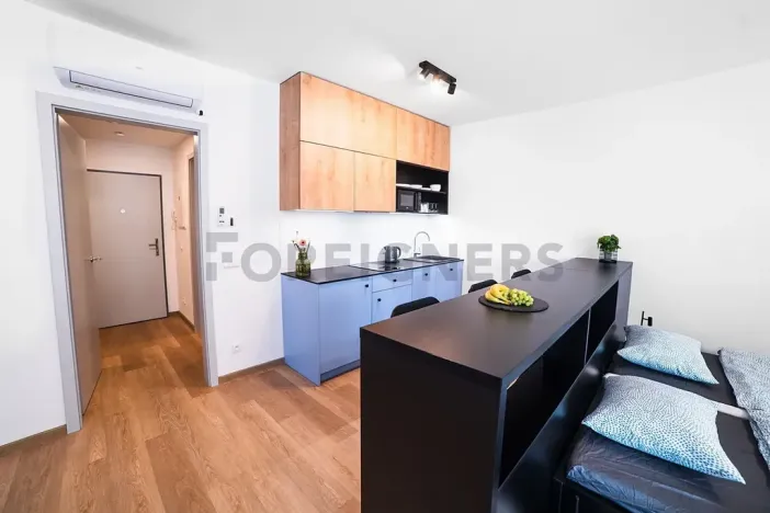 Pronájem bytu 1+kk, Olomouc, Edmunda Husserla, 43 m2