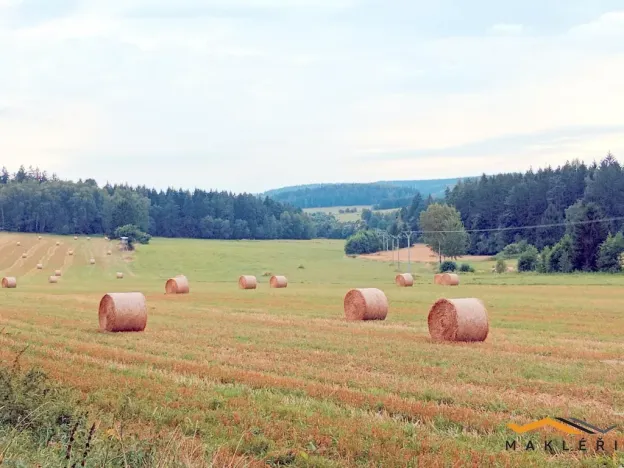 Prodej pole, Horní Radouň - Starý Bozděchov, 237194 m2