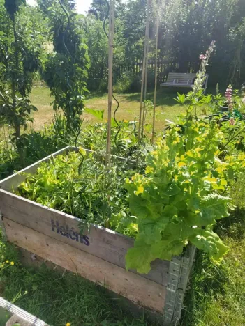 Prodej zahrady, Žlutice, Smetanova, 569 m2