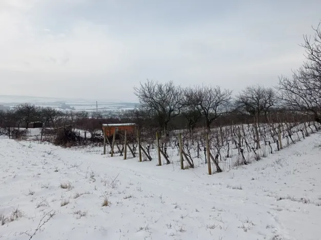 Prodej zahrady, Mikulov, Nová, 467 m2