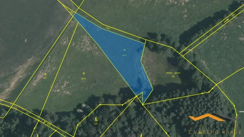 Prodej rybníku, Horní Radouň - Starý Bozděchov, 12120 m2