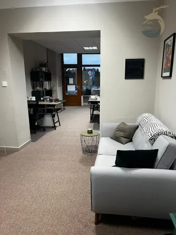 Pronájem kanceláře, Přeštice, Masarykovo nám., 43 m2