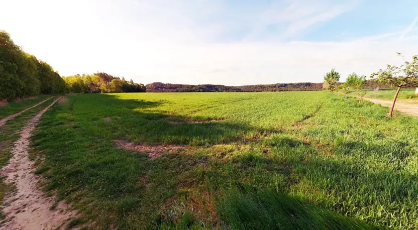 Prodej pole, Blíževedly, 28865 m2