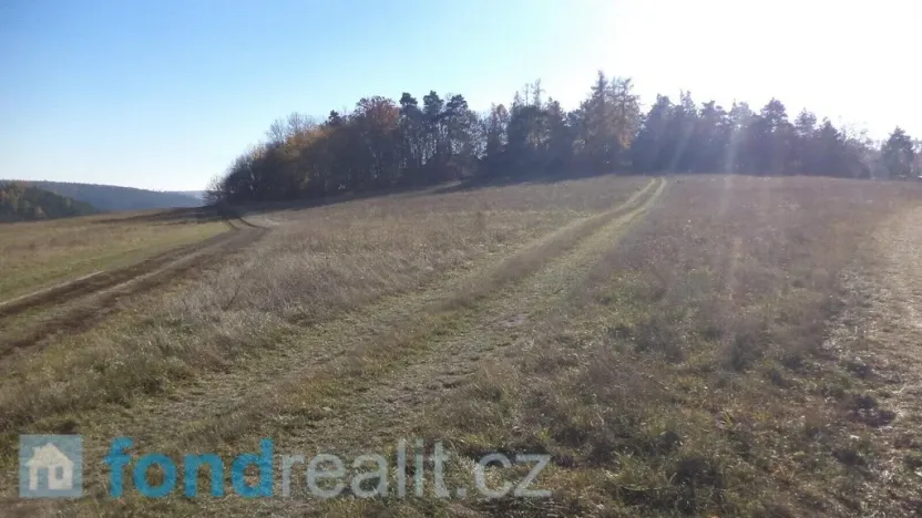 Prodej pole, Prostějovičky, 4403 m2