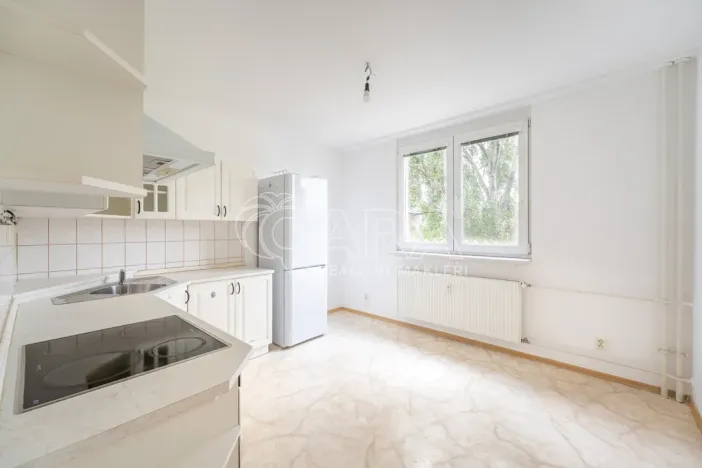 Pronájem bytu 2+1, Brno - Staré Brno, Křídlovická, 52 m2