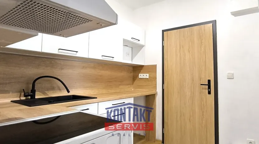 Prodej bytu 1+1, Písek - Budějovické Předměstí, Táborská, 24 m2