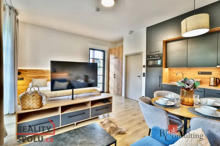 Prodej bytu 1+kk, Černý Důl, 39 m2