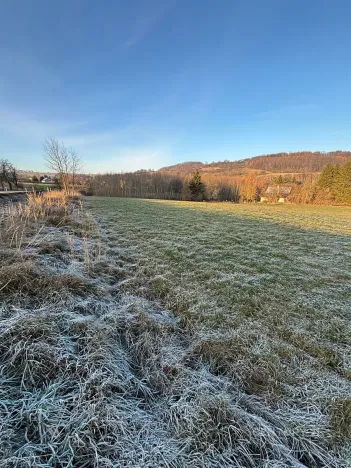 Prodej komerčního pozemku, Velká Bukovina, 20188 m2