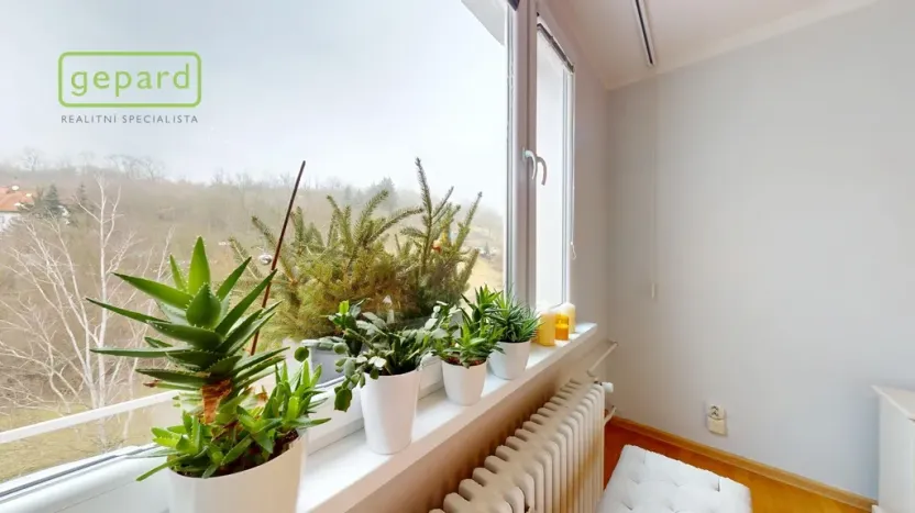 Prodej bytu 2+1, Ústí nad Labem - Neštěmice, Železná, 62 m2