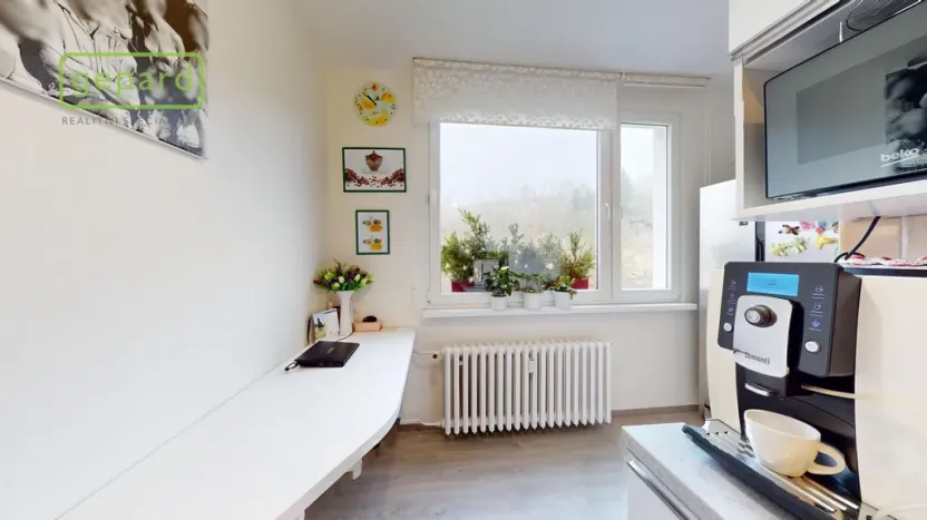 Prodej bytu 2+1, Ústí nad Labem - Neštěmice, Železná, 62 m2