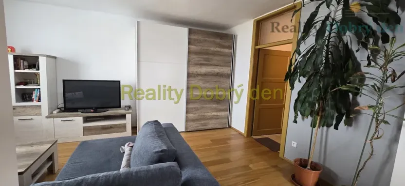 Pronájem bytu 1+kk, Opava, Nerudova, 53 m2