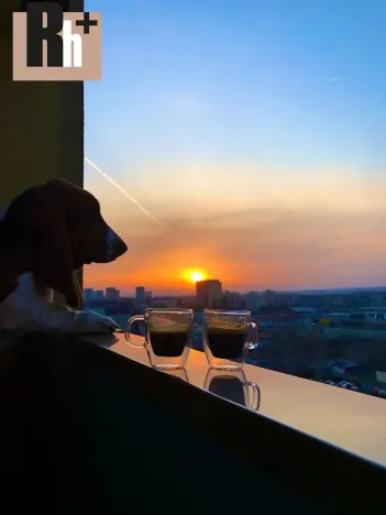 Prodej bytu 3+1, Ostrava, Poděbradova, 70 m2