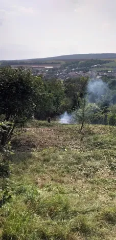 Prodej zahrady, Dolní Kounice, Kamenný vrch, 1117 m2