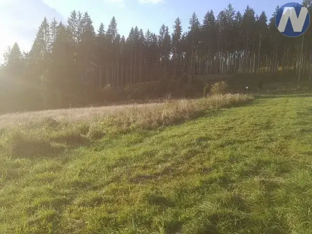 Prodej pozemku, Želnava, 14303 m2