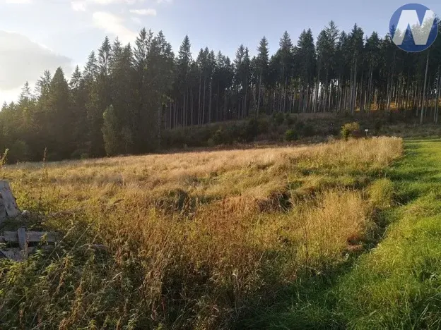 Prodej pozemku, Želnava, 14303 m2