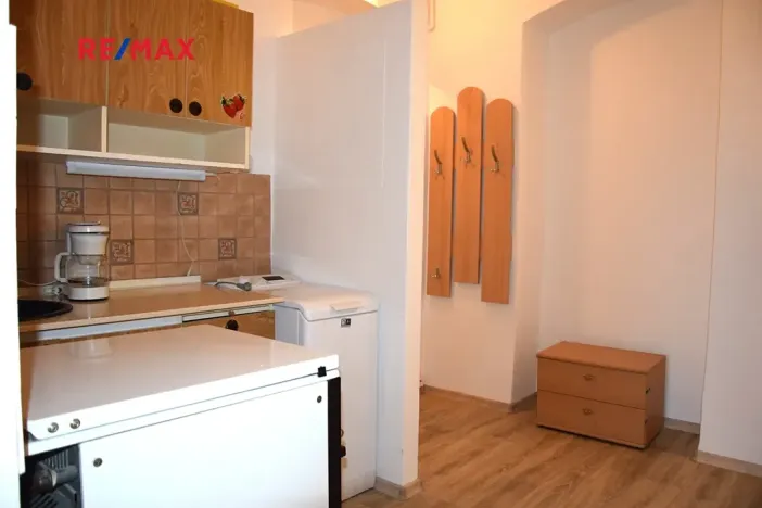 Pronájem bytu 1+kk, Plzeň, Rubešova, 19 m2