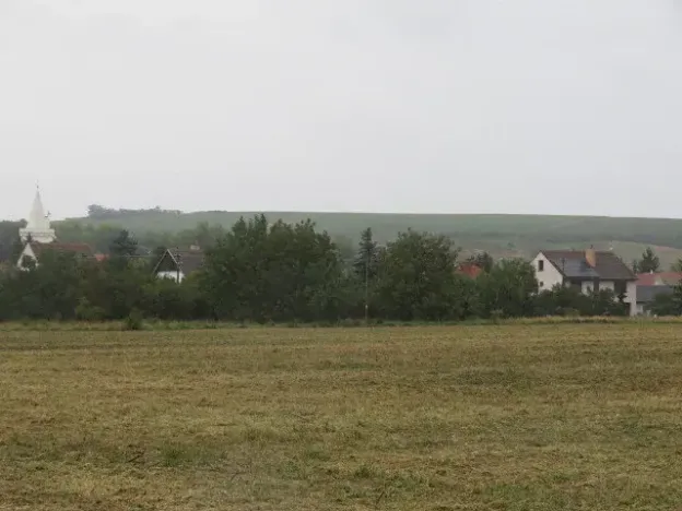 Dražba pole, Pravlov, 1289 m2