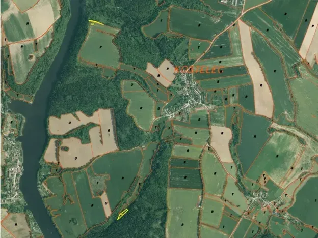 Dražba louky, Hluboká nad Vltavou, 3163 m2