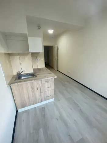 Pronájem bytu 1+kk, Praha - Hlubočepy, Na Zlíchově, 20 m2