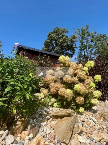 Prodej ubytování, Paseky nad Jizerou, 345 m2