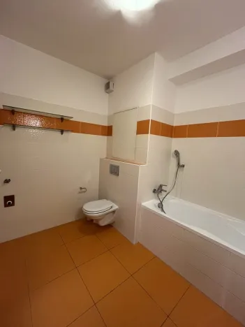 Pronájem bytu 1+kk, Olomouc - Nové Sady, Družební, 38 m2