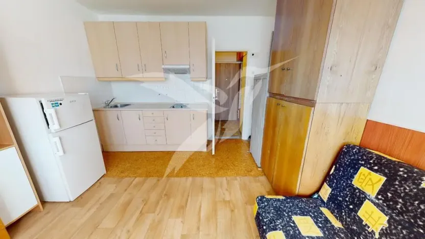 Pronájem bytu 1+kk, Plzeň, Skupova, 20 m2