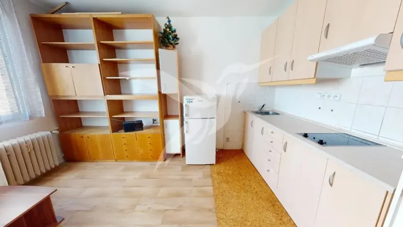 Pronájem bytu 1+kk, Plzeň, Skupova, 20 m2