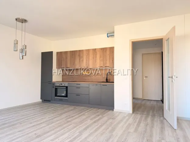 Pronájem bytu 2+kk, České Budějovice - České Budějovice 3, Hálkova, 49 m2