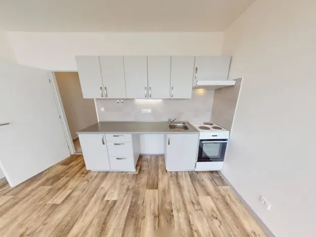 Pronájem bytu 1+kk, Ostrava - Dubina, Jana Maluchy, 32 m2