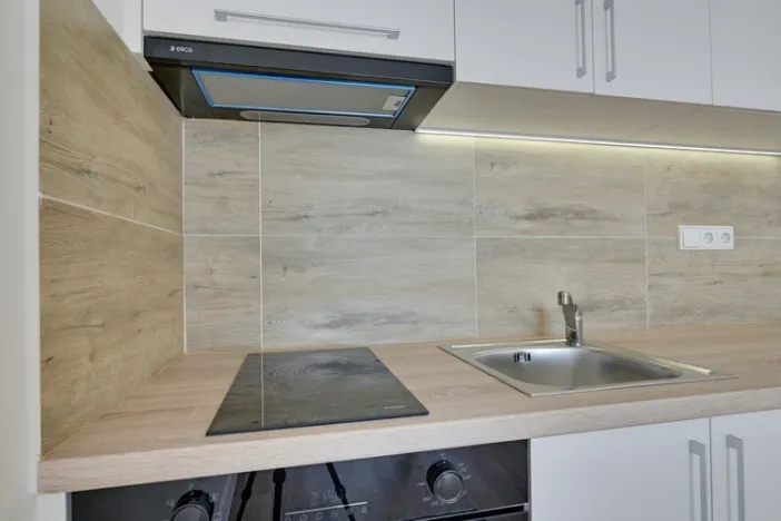 Pronájem bytu 1+kk, Ostrava - Moravská Ostrava, Sládkova, 29 m2