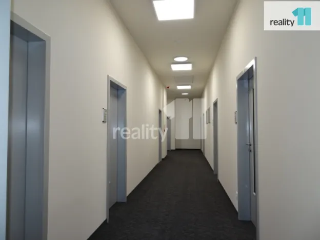 Pronájem kanceláře, Ústí nad Labem - Ústí nad Labem-centrum, Žižkova, 23 m2