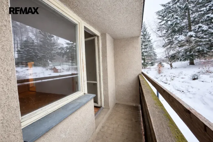 Prodej bytu 3+1, Nové Město na Moravě, Purkyňova, 77 m2