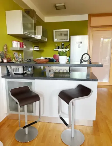 Pronájem bytu 1+kk, Praha, Litoměřická, 47 m2