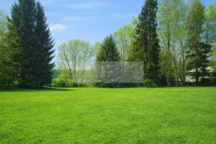 Prodej zahrady, Nová Paka, 1635 m2