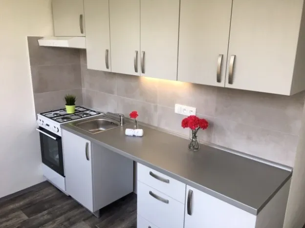 Pronájem bytu 2+1, Ostrava - Hrabůvka, Josefa Kotase, 50 m2