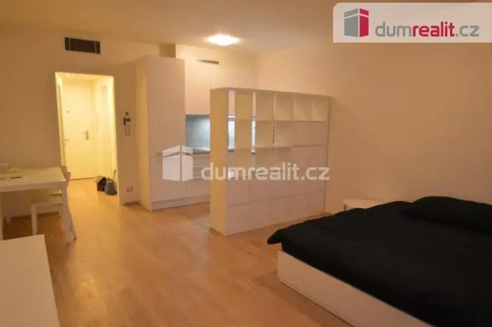 Pronájem bytu 1+kk, Praha - Žižkov, Olšanská, 37 m2