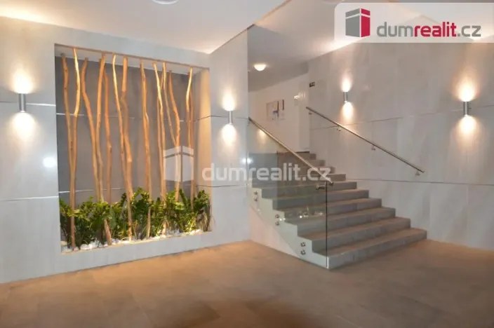 Pronájem bytu 1+kk, Praha - Žižkov, Olšanská, 37 m2