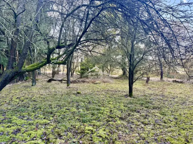 Prodej rodinného domu, Golčův Jeníkov - Kobylí Hlava, 150 m2
