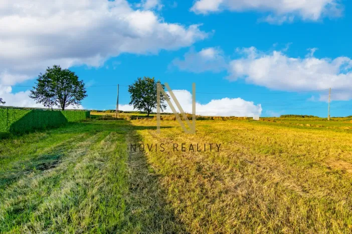 Prodej pozemku pro bydlení, Puclice, 3058 m2