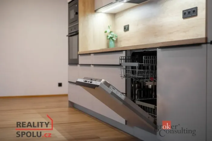 Prodej bytu 2+kk, Opava - Předměstí, Olomoucká, 65 m2