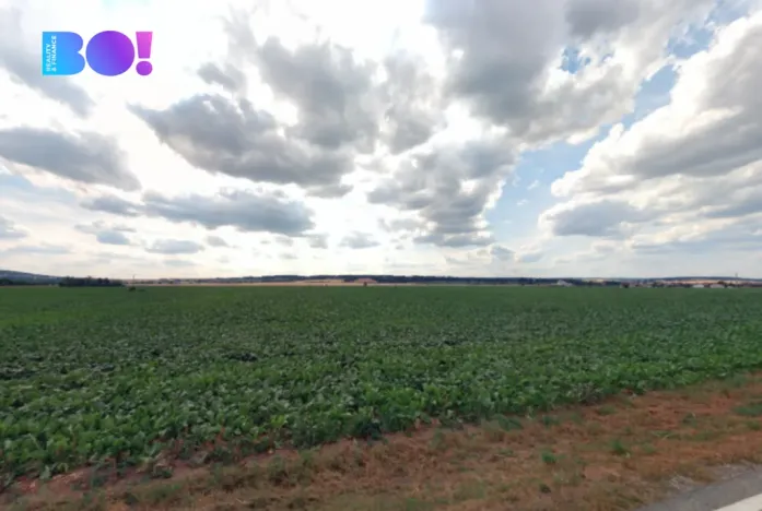 Prodej pole, Náměšť na Hané, 24109 m2