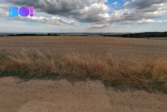 Prodej pole, Prostějov, 29929 m2