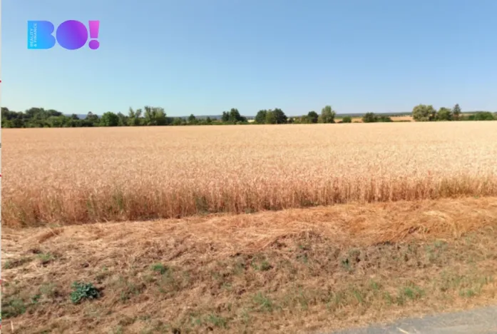 Prodej pole, Senice na Hané, 7577 m2